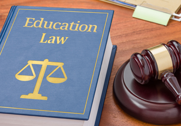 Servicii de drept contravențional